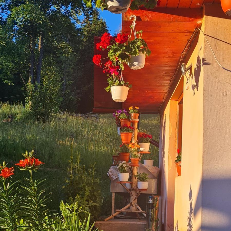Cabana Cret Ocoale Extérieur photo
